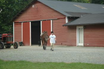 Services at Willow Oak Farm Riding School
