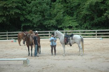 Services at Willow Oak Farm Riding School