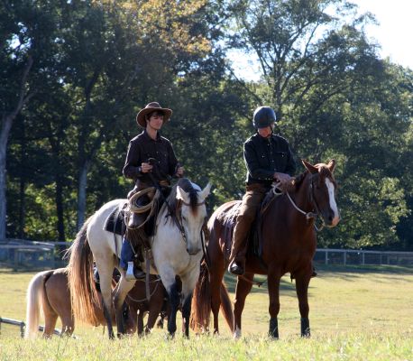 Contact Willow Oak Farm Riding School
