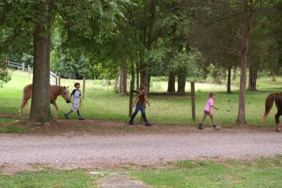 Summer Camps at Willow Oak Farm Riding School