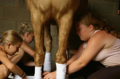 Summer Camps at Willow Oak Farm Riding School