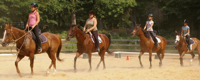 Training at Willow Oak Farm Riding School