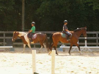Lessons & Leasing at Willow Oak Farm Riding School