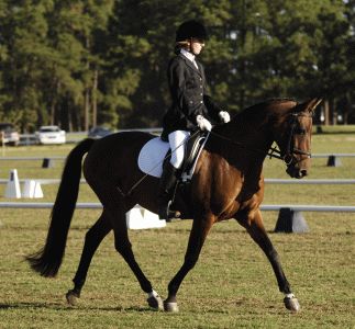 Horse Shows