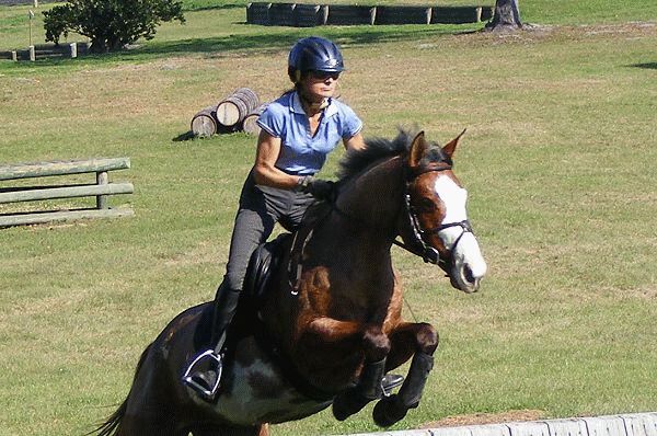 Willow Oak Farm Riding School