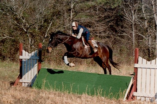 Willow Oak Farm Riding School