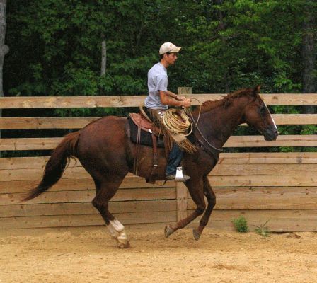 Training at Willow Oak Farm Riding School