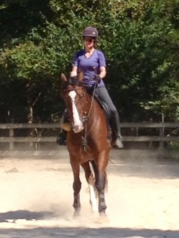 Services at Willow Oak Farm Riding School